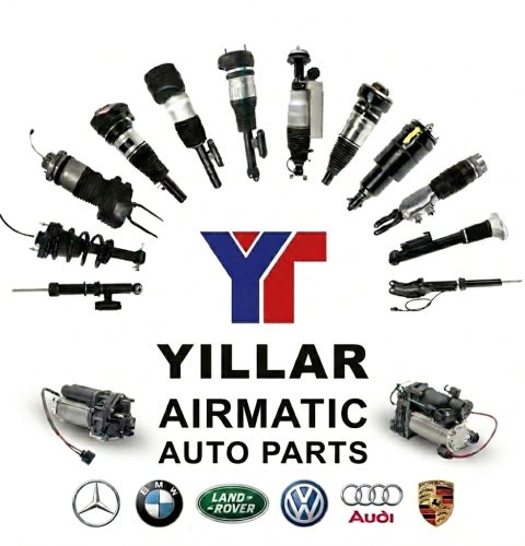 WhatsApp Image 2026-03-02 at 09.47.47